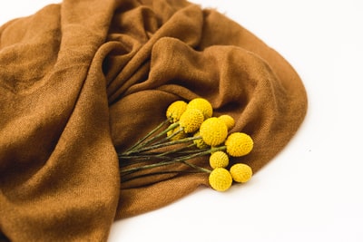 棕色纺织品上的黄色花朵